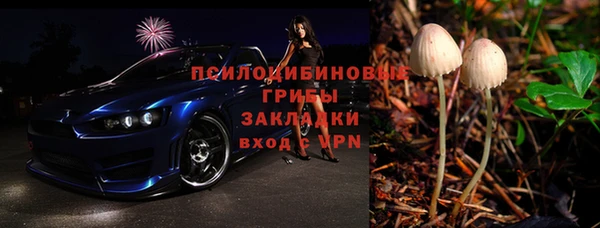 эйфоретик Алзамай
