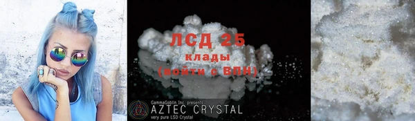 стафф Алексин