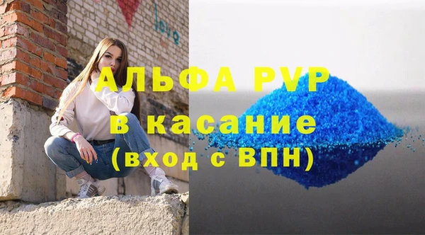 стафф Алексин