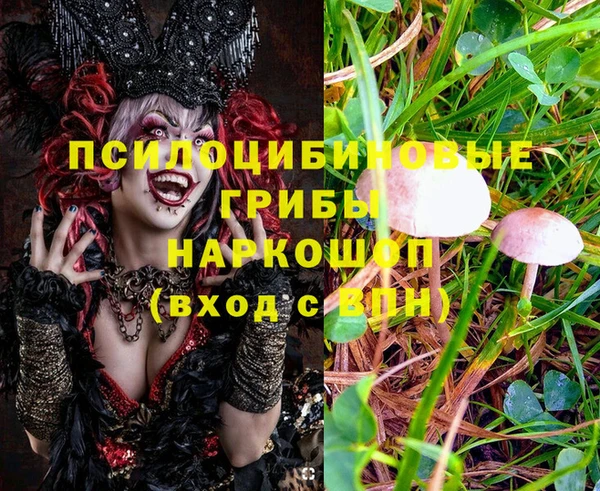 кокаин Алексеевка