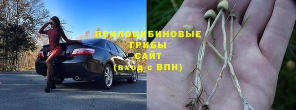 стафф Алексин